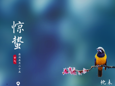 今日，惊蛰！春雷响，万物长