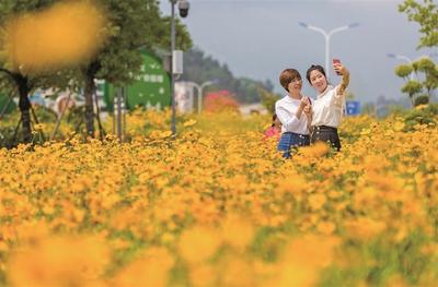 大美宁德 | 这里笑靥如花，幸福绽放……