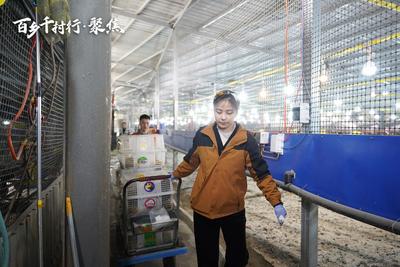 【百乡千村行·聚焦】孙振仙 陆娱琴：新农人的“孔雀梦”