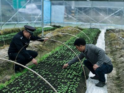 草长莺飞踏春去，禁种铲毒正当时