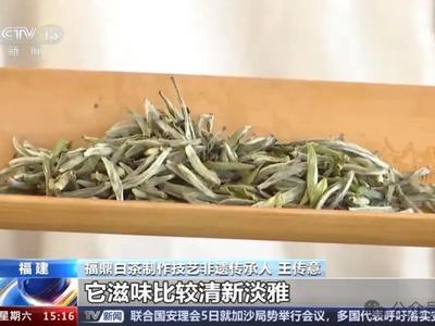 快看！福鼎又上央视啦！