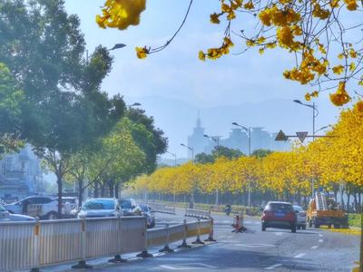 新闻早点丨宁德这条高速建设进度刷新！